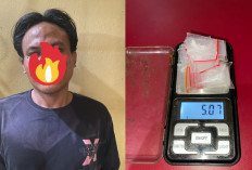 Simpan Sabu Ditumpukan Kayu, Buruh Asal Arimbi Jaya Ditangkap Satresnarkoba Polres Prabumulih