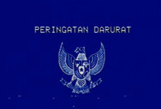 Ramai-ramai Posting Peringatan Darurat Garuda Biru di Medsos