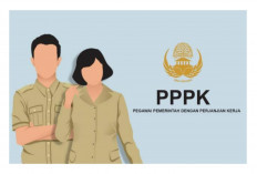 ﻿Belum Beruntung di CPNS 2024? Temukan Peluang Baru di PPPK 2025