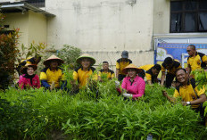 Dukung Program Makan Bergizi Gratis, Polres Prabumulih Bagikan Sayuran Hasil Panen dari Lahan P2L
