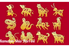 Ini Nasib Shio Ular, Kuda, dan Kambing Hari Ini - Banyak Kejutan Tak Terduga!