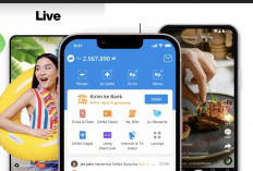 Dari Kreativitas Jadi Penghasilan, Ini Cara Cuan dari TikTok dan Snack Video