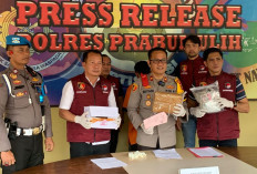 Juru Parkir Nyambi Kurir Ganja: Digerebek Satresnarkoba Prabumulih di Penginapan Rahayu, 1 Kg Ganja Disita 