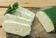 Mengenal Manfaat Tempe untuk Perawatan Kulit: Dari Jerawat hingga Anti-Aging