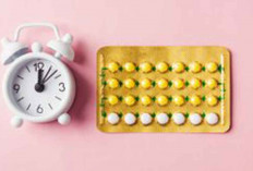 Jenis Pil KB untuk Cegah Kehamilan dan Cara Pakainya