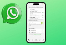 Fitur Baru WhatsApp Bikin Status Bisa Dibagikan ke Teman Terdekat