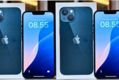 Masih Worth It! iPhone 13 Bekas Tetap Diminati di Tahun 2026