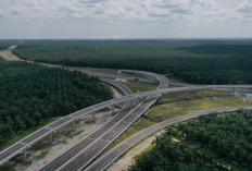 Prestasi 10 Tahun Jokowi: 1.235 Kilometer Jalan Tol yang Mengubah Sumatera