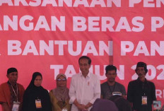 Jokowi Blak-blakan Alasan Bansos Beras Dilanjutkan