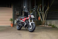 Adu Spesifikasi Honda ST125 Dax vs Kawasaki Z125 Pro, Motor Agresif Untuk Berbagai Kalangan