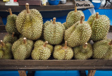 Waspada Konsumsi Durian Berlebihan! Ini 7 Efek Sampingnya 