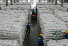 Stok Aman hingga Lebaran, Bulog Sumsel-Babel Siapkan 79 Ribu Ton Beras