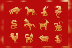 Ramalan Shio Terkini! Prediksi Harian untuk Shio Ayam, Monyet, Macan, Kambing, dan Naga