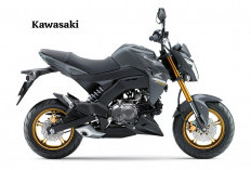 Lalui Jalanan Kota Menggunakan Kawasaki Z125 Pro 2025, Perjalanan Makin Lancar dan Nyaman