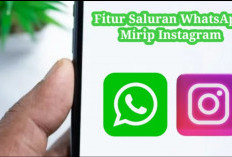 Makin Canggih, Saluran WhatsApp Mirip Instragram, Kamu Sudah Coba Belum?