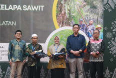 Produktivitas Bisa Naik 50 Persen, Petani Sawit Muara Enim Didorong Gunakan Bibit Bersertifikat