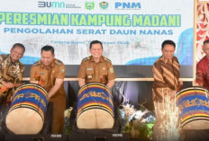 Kampung Madani, Inovasi Ekonomi Berkelanjutan dari Daun Nanas di Muara Enim