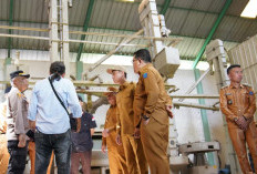 Bupati OKI Usulkan Eks RMU Jadi Gudang Bulog Demi Serap Gabah Petani