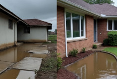 Jangan Sampai Salah! 7 Kesalahan Desain Rumah Modern yang Picu Genangan Air