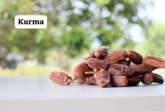 Khasiat Alami Biji Kurma, Melindungi Kesehatan Jantung