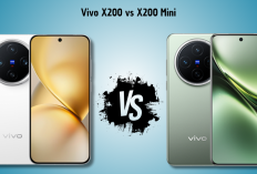 Vivo X200 vs X200 Mini: Flagship Layar Besar atau Compact Premium, Mana Lebih Cocok untuk Anda?