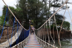 Menyusuri Keindahan Pantai Sungai Suci, Permata Tersembunyi di Bumi Rafflesia