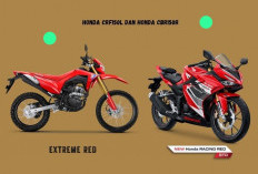 Dua Motor Petualang Beda Karakter, Adu Gahar Honda CRF150L Vs Honda CBR150R