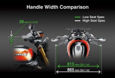 Motor Retro Modern dengan Performa Buas, Begini Spesifikasi Kawasaki Z900RS 