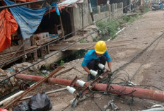 Tiang Listrik Roboh di Jalan M. Yamin, PLN Lakukan Manuver untuk Kurangi Daerah Terdampak
