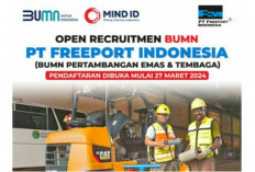 Inilah 4 Posisi Loker Perusahaan Tambang Emas PT Freeport Indonesia, Cek Lokasi Penempatannya