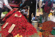 Pedagang di Palembang Terpaksa Buang 2-3 Kg Cabai karena Mahal dan Tak Laku