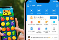 Main Game Dapat Uang! The Fruit Cash Bagi-Bagi Saldo DANA hingga Rp105 Ribu