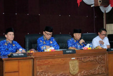 Fantastis! 3 OPD, Anggaran Perjalanan Dinas Empat Lawang Tembus Rp23,8 Miliar
