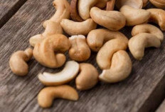Mendukung Kesehatan Tulang, Ini 3 Manfaat Kacang Mete Untuk Kesehatan