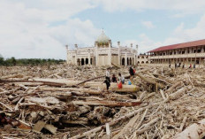 Kemenhut Izinkan Warga Manfaatkan Kayu Hanyut, Fokus Pemulihan Pasca Bencana