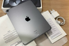 Setelah iPad Pro, Apple Bakal Bawa Layar OLED ke iPad Air