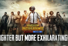 Urutan Peringkat PUBG 2024 dan Cara Mengeceknya