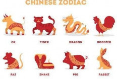 Ramalan Shio Ayam, Shio Macan, Shio Kelinci, Shio Naga, Shio Kambing Hari Ini