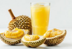 Dijuluki Raja Buah, Ternyata Ini 5 Manfaat Jus Durian Untuk Kesehatan