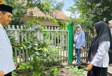 Dukung Ketahanan Pangan, KUA Cambai Prabumulih Manfaatkan Lahan Kantor Jadi Kebun Produktif