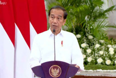 Jokowi Diusulkan Jadi Ketua Koalisi, Pengamat: Kongsi Jahat!
