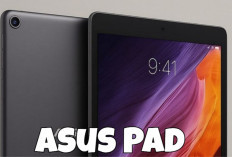 Asus Pad Resmi Meluncur: Tablet OLED 12,2 Inci dengan Dimensity 8300 dan Baterai 9.000mAh