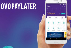 Tak Bawa Uang Cash saat Belanja, Tenang Bisa Pakai OVO PayLater!