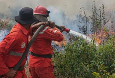 Posko Karhutla Banyuasin Hanya Aktif Dua Bulan, Ancaman Kebakaran Mengintai