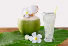 Air Kelapa, Rahasia Alami untuk Hidrasi dan Kesehatan Tubuh