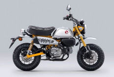 Begini Spesifikasi Honda Monkey 125, Motor Mini Ikonik dengan Gaya Retro Modern 