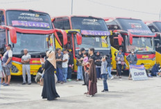 3.500 Kursi Mudik Gratis dari Kemenhub, Angkutan Natal 2024 dan Tahun Baru 2025