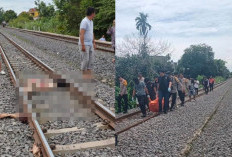 Pulang Sekolah, Pelajar di Prabumulih Berpulang Setelah Disambar Ular Besi  