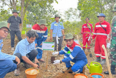 Pertamina EP Tanam Ribuan Pohon, Selamatkan Jalur Gajah dari Kepunahan