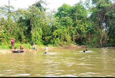 Rela Keluar Masuk Hutan Demi Bisa Main Air di Sungai Alami 